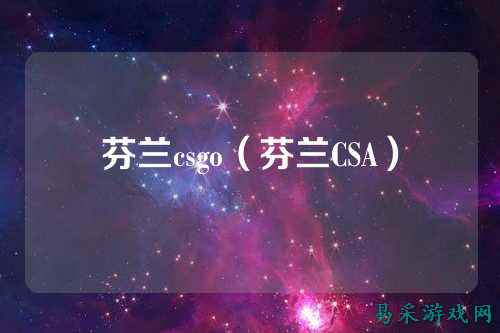 芬兰csgo(芬兰CSA)