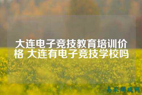 大连电子竞技教育培训价格 大连有电子竞技学校吗