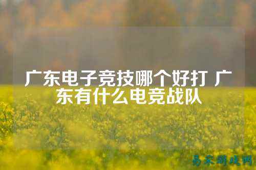广东电子竞技哪个好打 广东有什么电竞战队