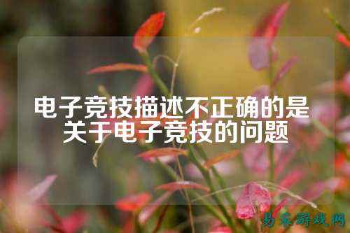 电子竞技描述不正确的是 关于电子竞技的问题