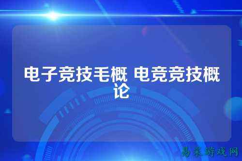 电子竞技毛概 电竞竞技概论