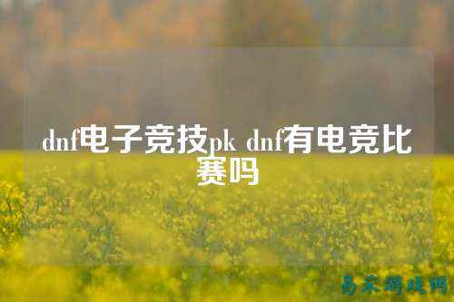 dnf电子竞技pk dnf有电竞比赛吗