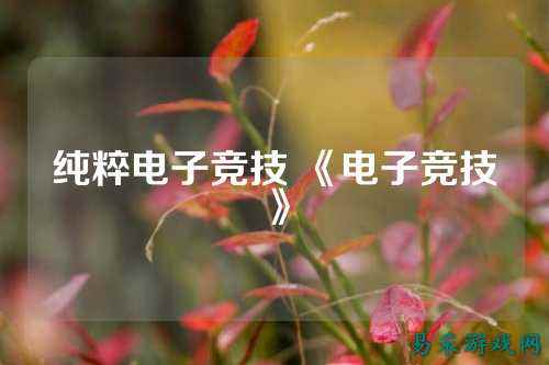 纯粹电子竞技 《电子竞技》