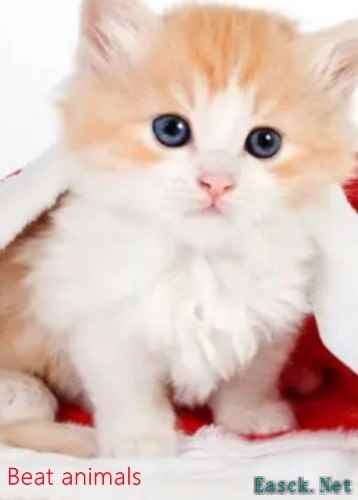 90 年代游戏哪些人气高 十大必玩90 年代游戏排行榜