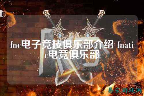fnc电子竞技俱乐部介绍 fnatic电竞俱乐部