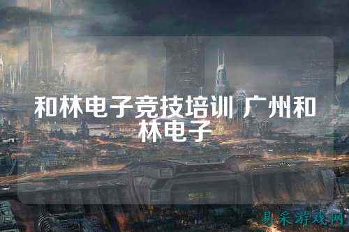 和林电子竞技培训 广州和林电子