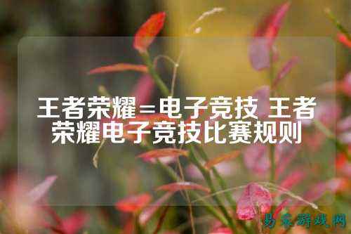 王者荣耀=电子竞技 王者荣耀电子竞技比赛规则