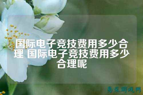 国际电子竞技费用多少合理 国际电子竞技费用多少合理呢
