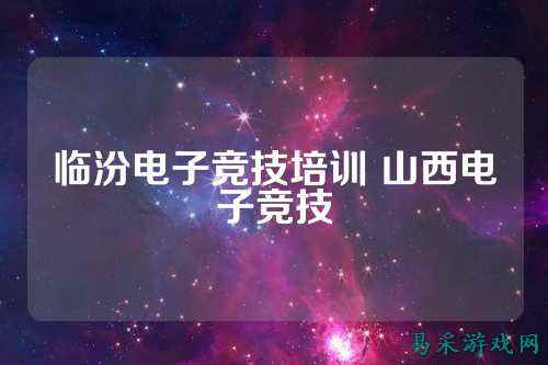 临汾电子竞技培训 山西电子竞技