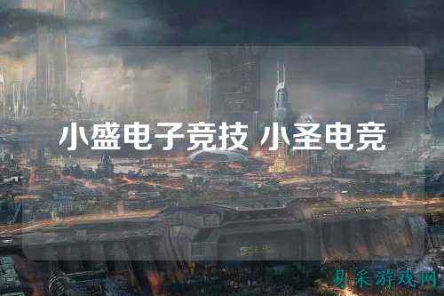 小盛电子竞技 小圣电竞