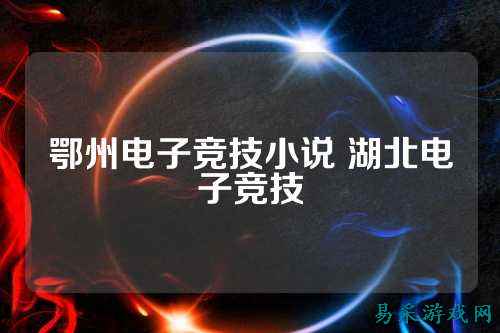 鄂州电子竞技小说 湖北电子竞技