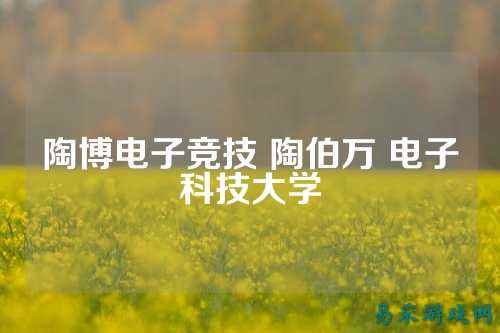 陶博电子竞技 陶伯万 电子科技大学
