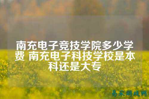 南充电子竞技学院多少学费 南充电子科技学校是本科还是大专