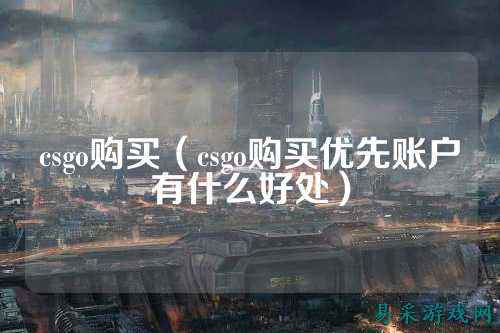 csgo购买(csgo购买优先账户有什么好处)