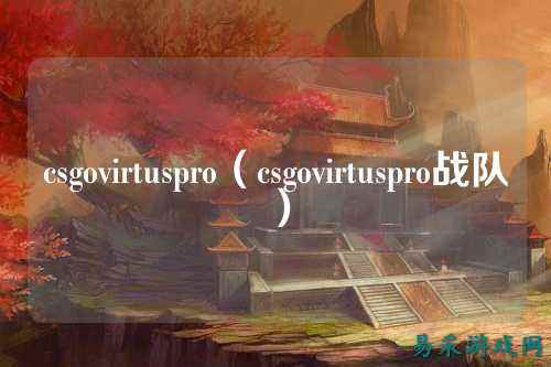 csgovirtuspro(csgovirtuspro战队)