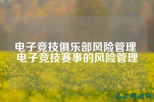 电子竞技俱乐部风险管理 电子竞技赛事的风险管理