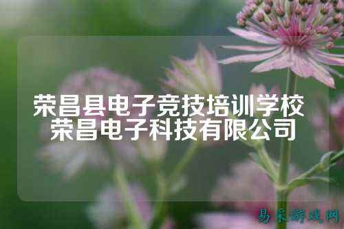 荣昌县电子竞技培训学校 荣昌电子科技有限公司