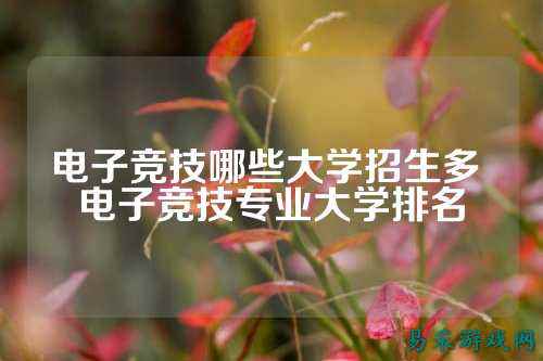电子竞技哪些大学招生多 电子竞技专业大学排名