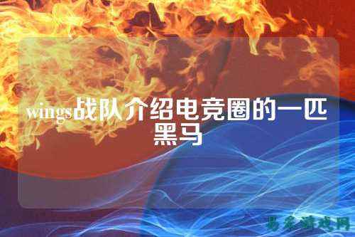 wings战队介绍电竞圈的一匹黑马