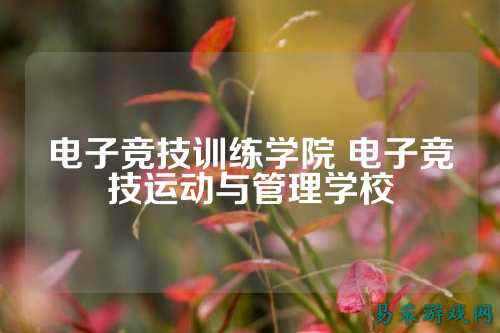电子竞技训练学院 电子竞技运动与管理学校