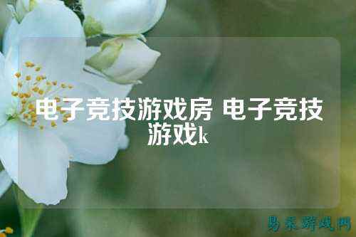 电子竞技游戏房 电子竞技游戏k