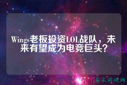 Wings老板投资LOL战队，未来有望成为电竞巨头？