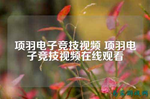 项羽电子竞技视频 项羽电子竞技视频在线观看