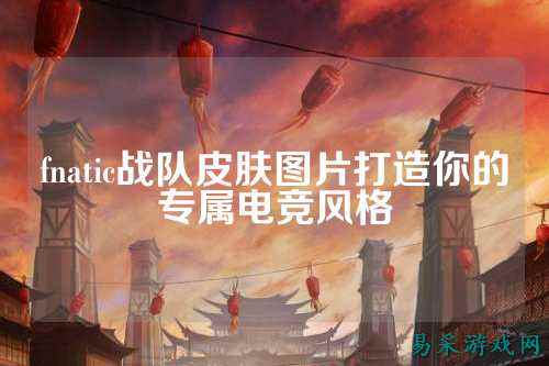 fnatic战队皮肤图片打造你的专属电竞风格