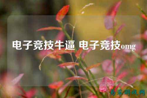 电子竞技牛逼 电子竞技omg