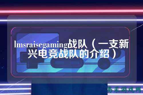 lmsraisegaming战队（一支新兴电竞战队的介绍）