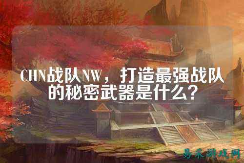 CHN战队NW，打造最强战队的秘密武器是什么？
