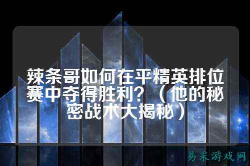辣条哥如何在平精英排位赛中夺得胜利？（他的秘密战术大揭秘）