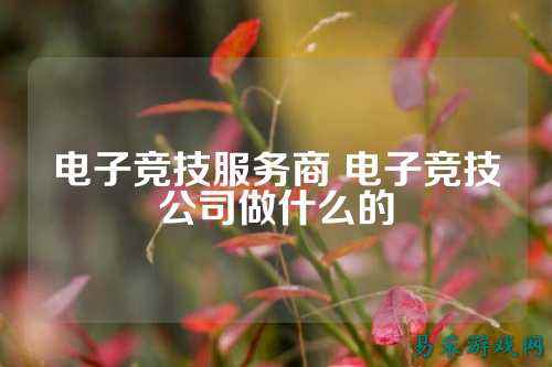 电子竞技服务商 电子竞技公司做什么的