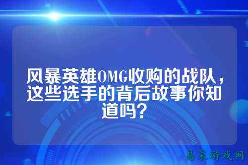 风暴英雄OMG收购的战队，这些选手的背后故事你知道吗？