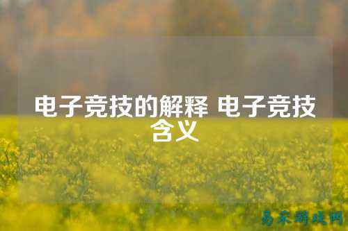 电子竞技的解释 电子竞技含义
