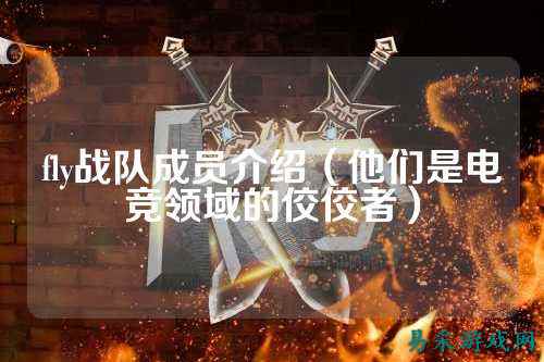 fly战队成员介绍（他们是电竞领域的佼佼者）