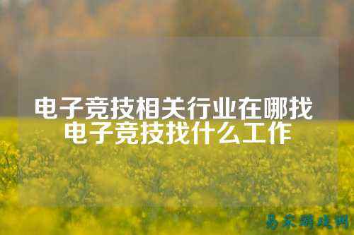 电子竞技相关行业在哪找 电子竞技找什么工作