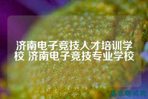 济南电子竞技人才培训学校 济南电子竞技专业学校