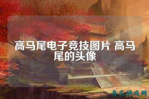 高马尾电子竞技图片 高马尾的头像