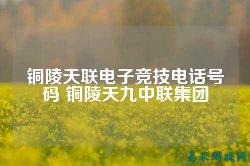 铜陵天联电子竞技电话号码 铜陵天九中联集团