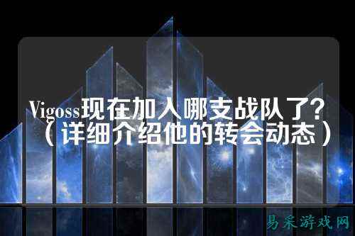 Vigoss现在加入哪支战队了？（详细介绍他的转会动态）