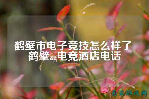 鹤壁市电子竞技怎么样了 鹤壁zg电竞酒店电话