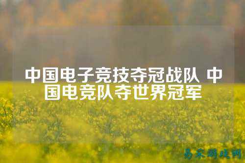 中国电子竞技夺冠战队 中国电竞队夺世界冠军