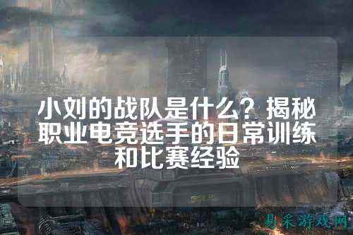 小刘的战队是什么?揭秘职业电竞选手的日常训练和比赛经验