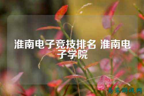 淮南电子竞技排名 淮南电子学院