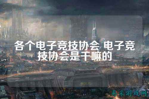 各个电子竞技协会 电子竞技协会是干嘛的