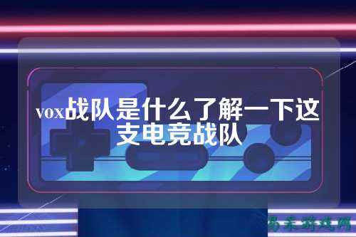 vox战队是什么了解一下这支电竞战队