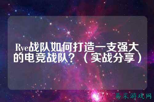 Rye战队如何打造一支强大的电竞战队？（实战分享）