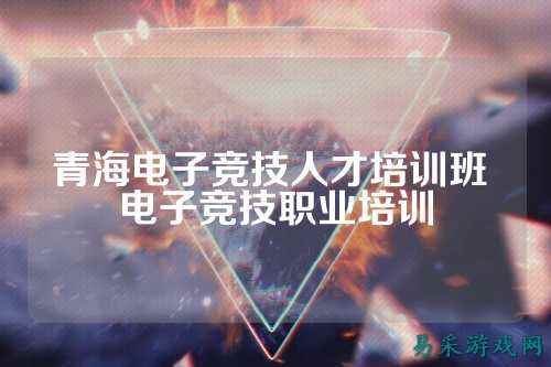 青海电子竞技人才培训班 电子竞技职业培训