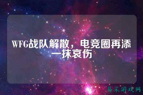 WFG战队解散,电竞圈再添一抹哀伤